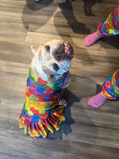 Rainbow Pride Hearts - Dog Pajama with Purple Neck & Trim/Sleeves