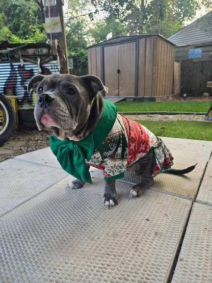 2026 Christmas in July Dog Dress With Ruffle / With Sleeves or Sleeveless (Available in any pattern)