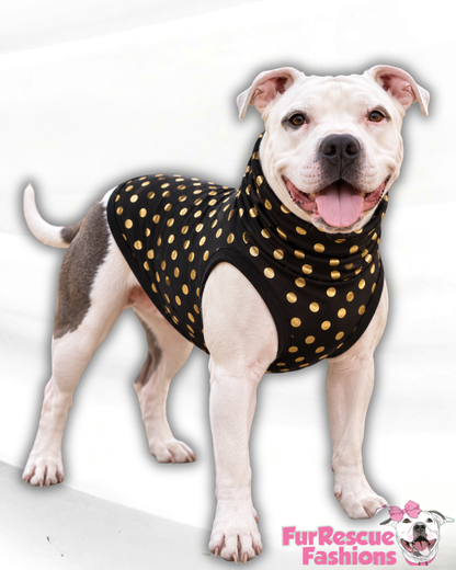 Golden Dots Dog Shirt/Dress/4-Legged PAWjama (UV50 Fabric)