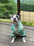 Donut Worry - It’s Xmas Dog Pajama with Green Neck & Trim/Sleeves