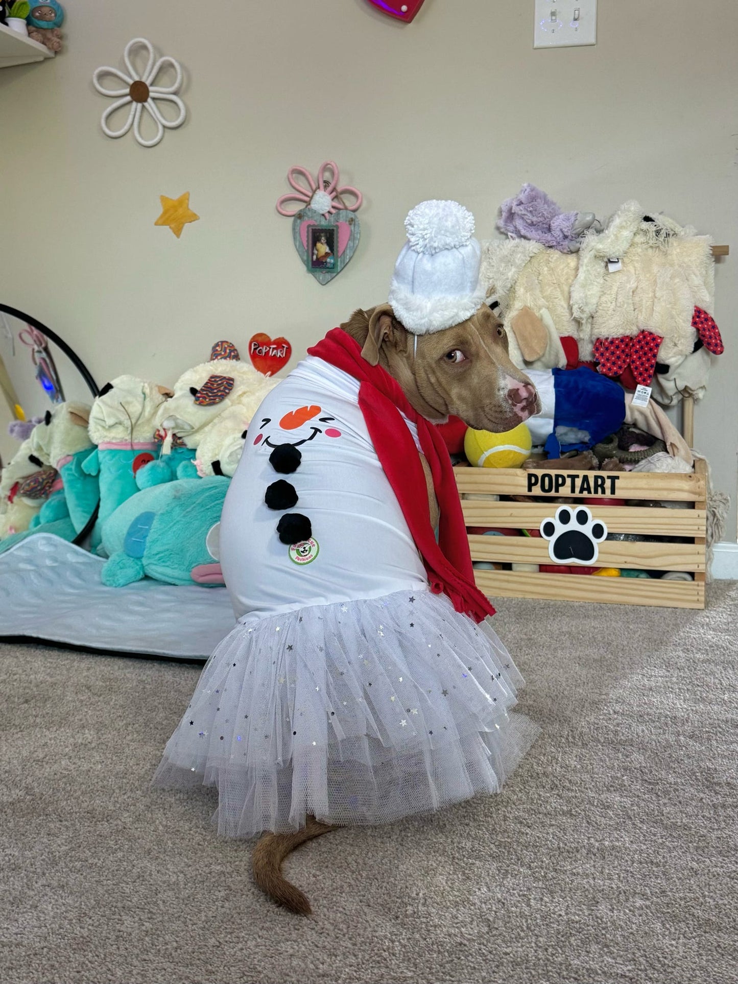 Frosty Kisses Sparkly Dog Tutu Dress