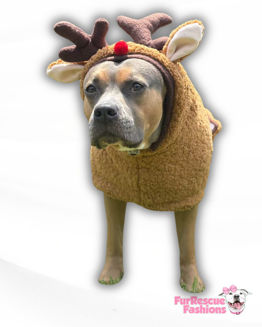 Rudy the Reindeer Sherpa  Dog Cape