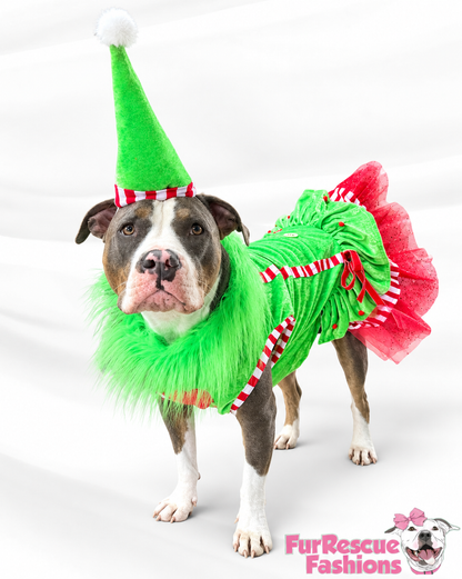 Merry Little Mischief Couture Christmas Dog Dress & Hat