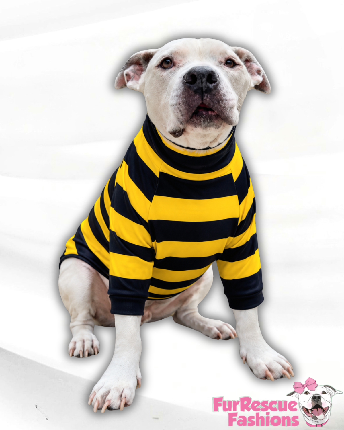 Bee Happy Striped Dog Shirt/Dress/4-Legged PAWjama (Classic Fabric)