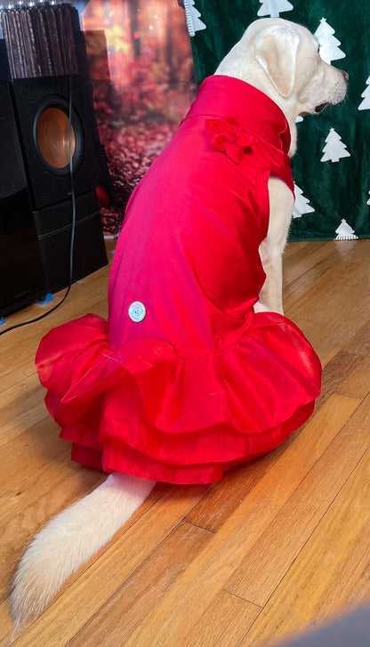 Nativity Red Ruffle Dog Holiday Dress