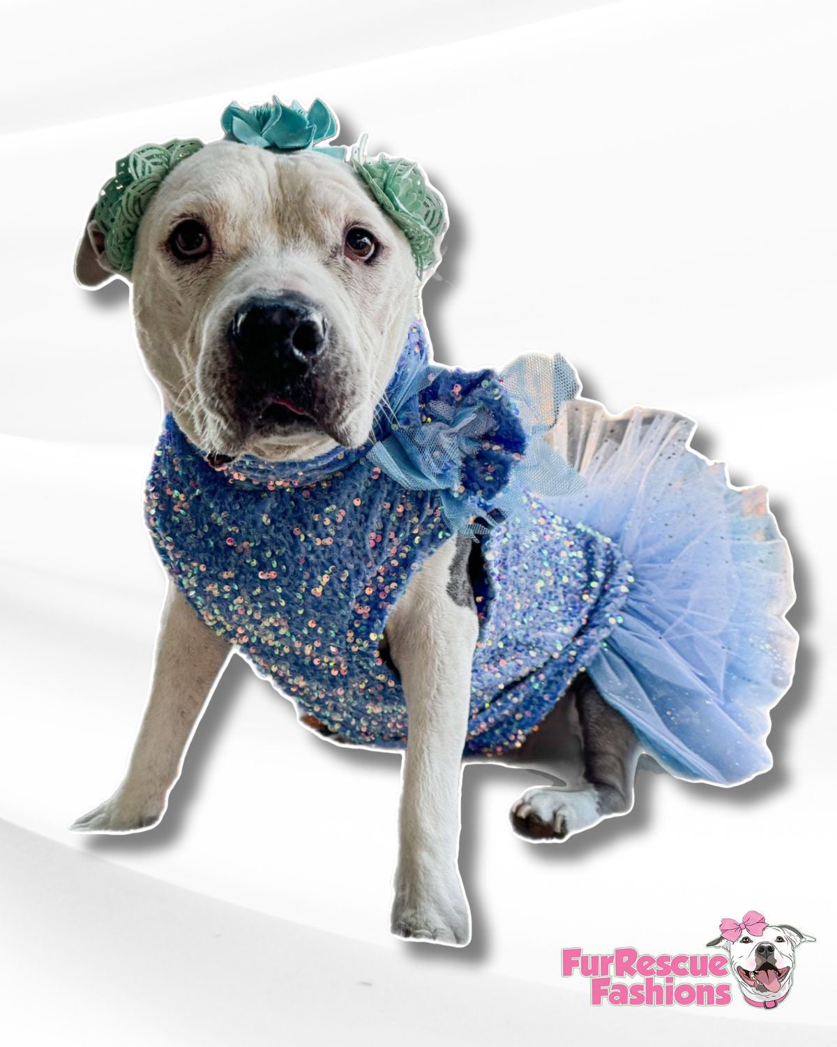 Sparkly Frozen Winter Magic Dog Dress