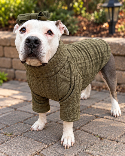 Olive Cable Knit Dog Shirt