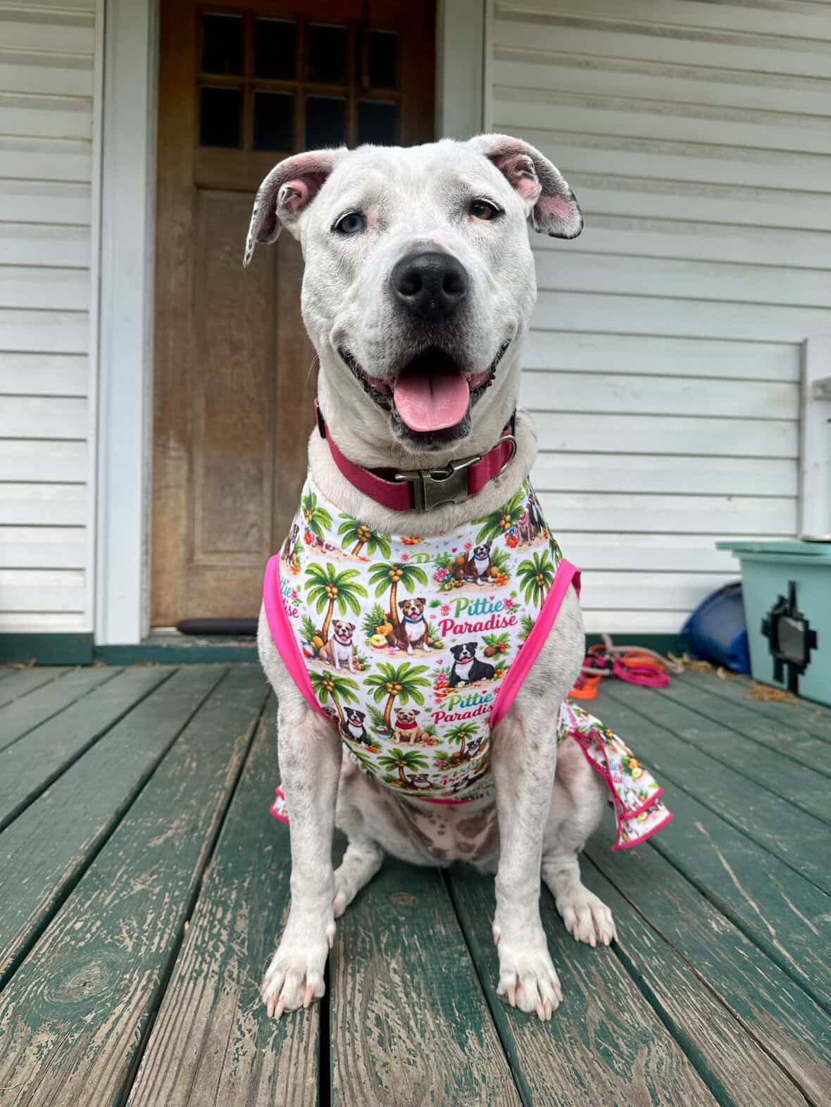 Pittie Paradise - Dog Pajama with Fuchsia Neck & Trim/Sleeves