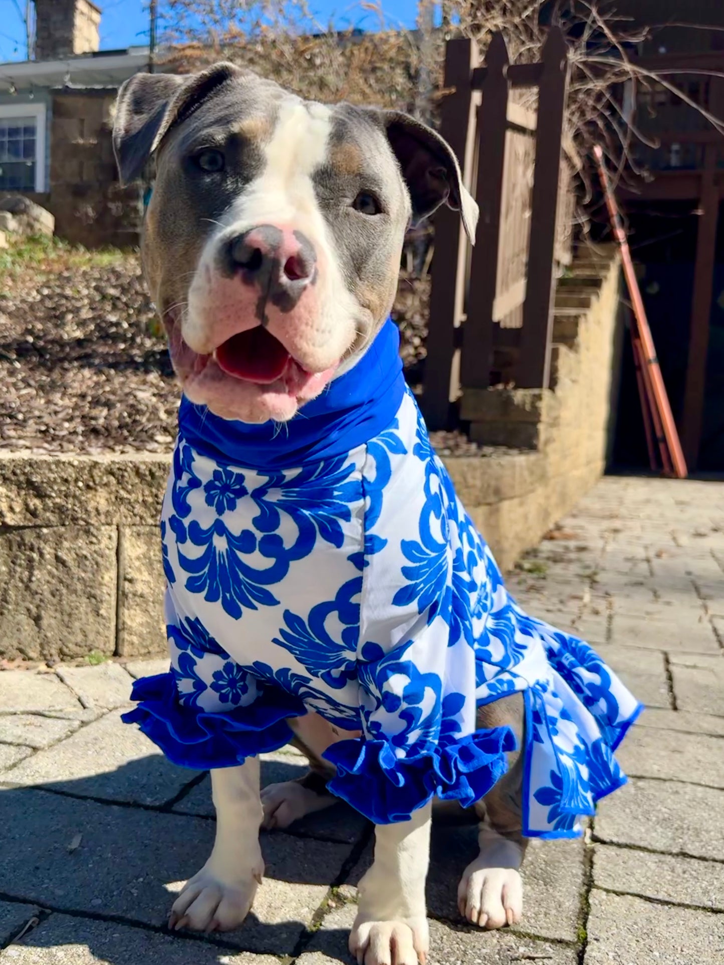 Italian Villa Vibes Pajama with Blue OR Red Neck & Trim/Sleeves