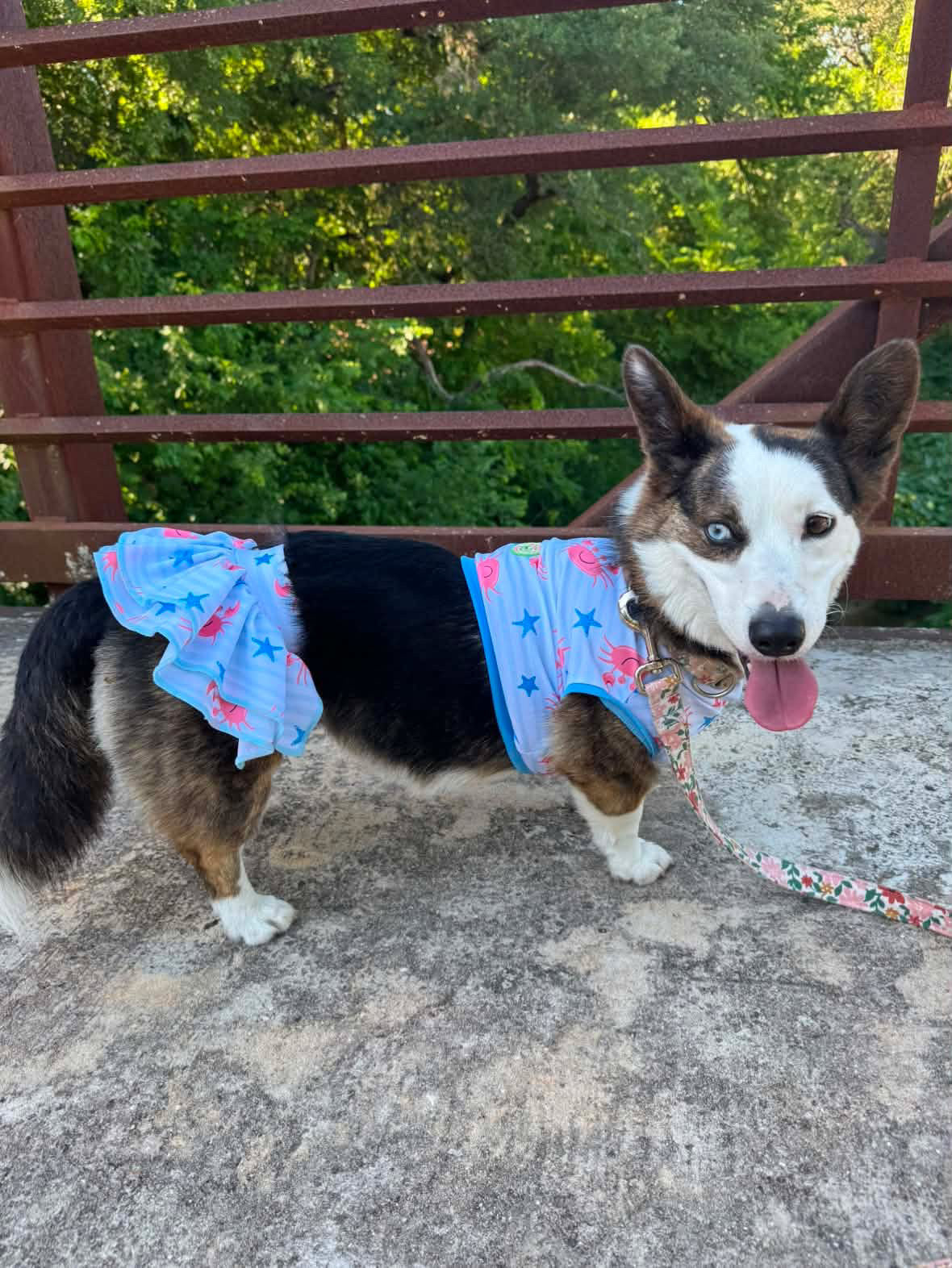 Dog Tankini (AVAILABLE IN ANY PRE-ORDER PATTERN)