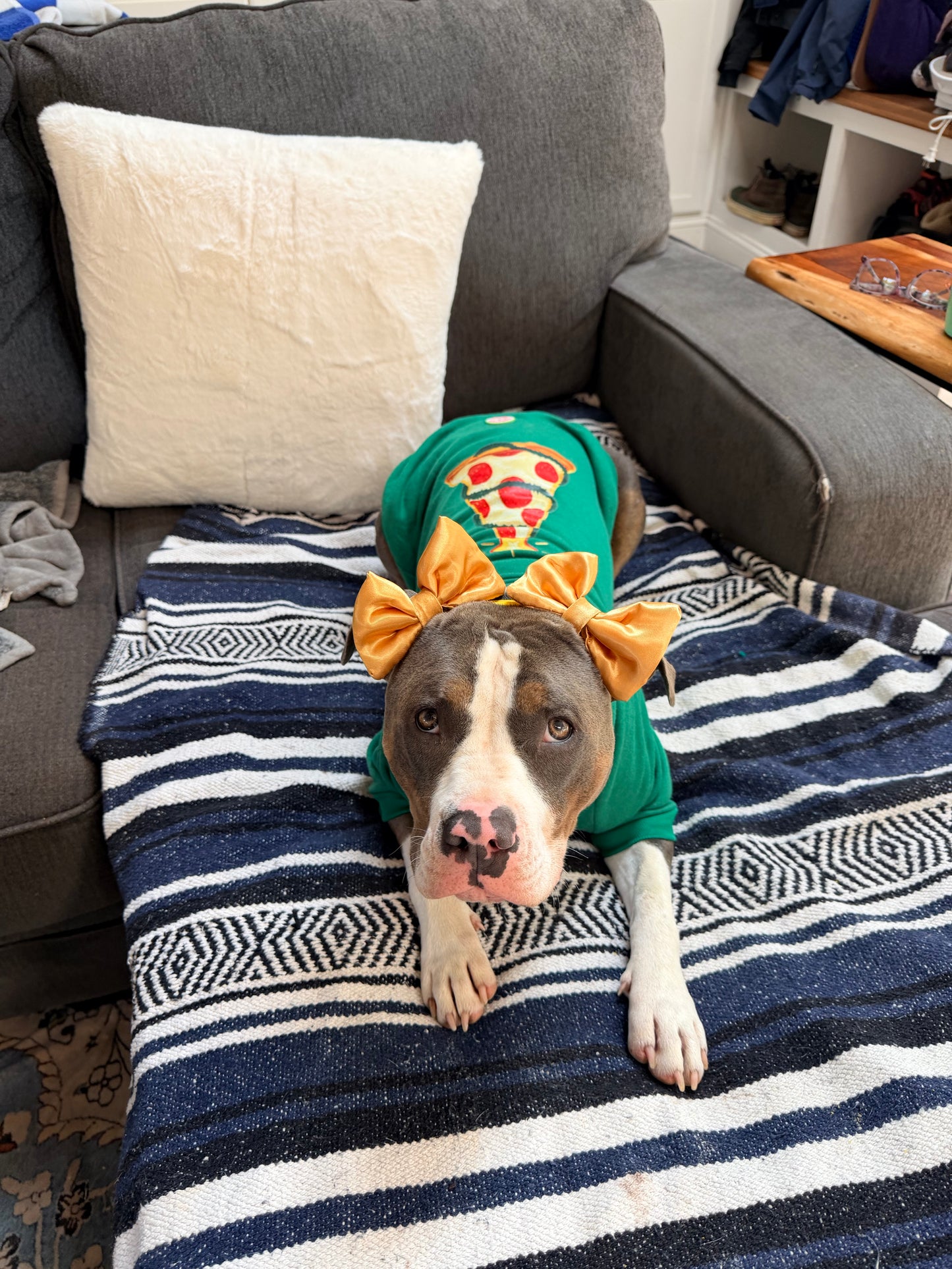 Pizza Christmas Tree Dog Sweater