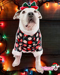 Point Me To Christmas - PAWjama with White Neck & Trim/Sleeves