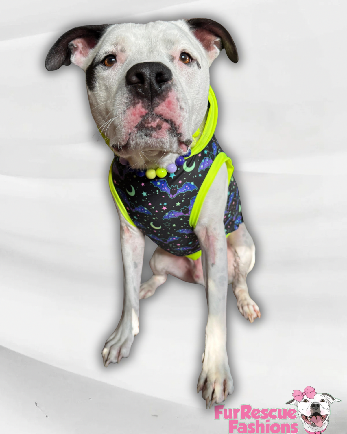 Starry Night Bats - Dog Pajama with Neon Neck & Trim/Sleeves