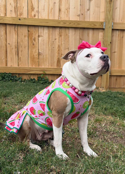 Berry Sweet Summer - Dog Pajama with Green Neck & Trim/Sleeves