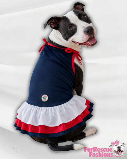 Americana Sweetheart Dog Dress