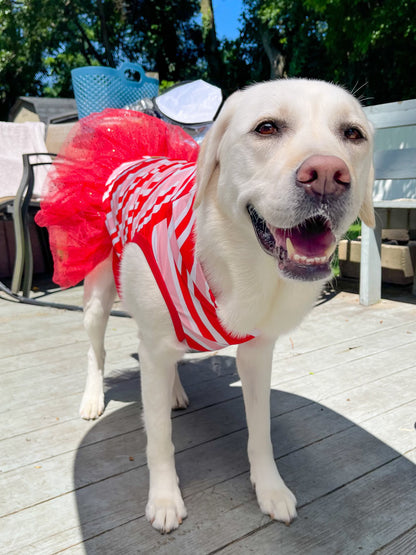 2026 Christmas in July Dog Tutu Dress (Available in all patterns)