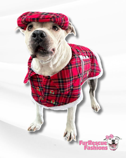 Scottish Holiday Winter Dog Cape with Hat