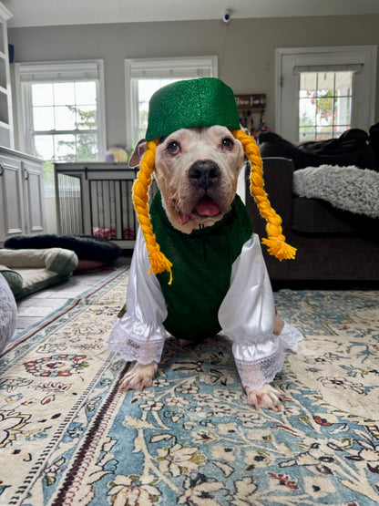 Fraulein Fur-stein Oktoberfest Dog Costume