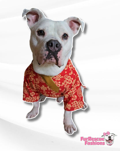 Chinese New Year Adorable Boys' Dog  Hanfu/Kimono