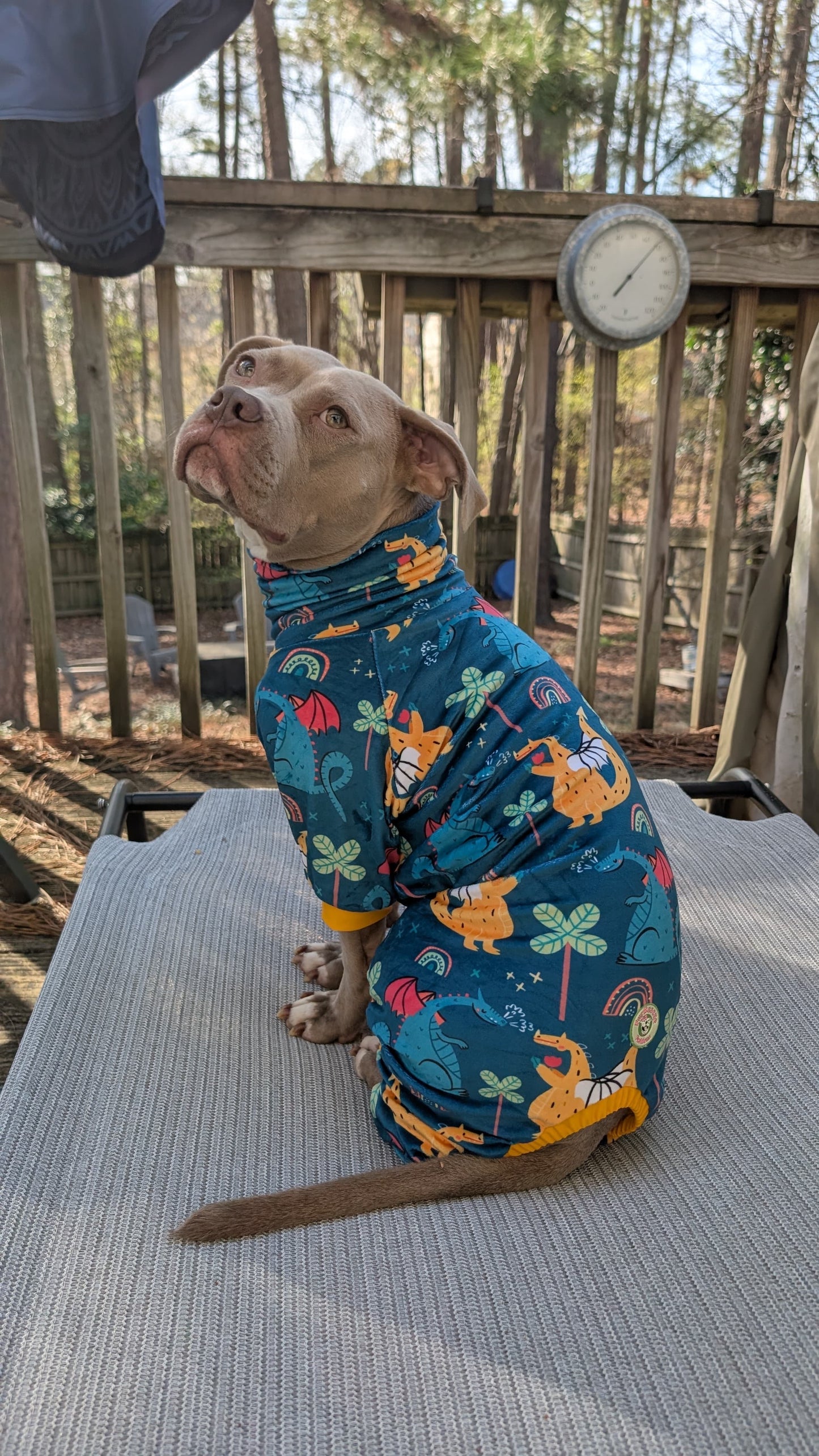 2026 Spring 4 Legged PAWjamas with Turtle Neck (Available in any pattern)