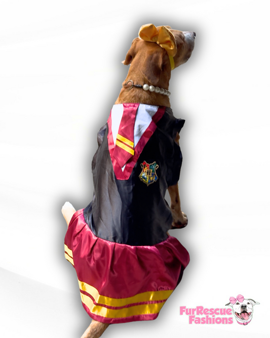 Pawgwarts Pup Costume