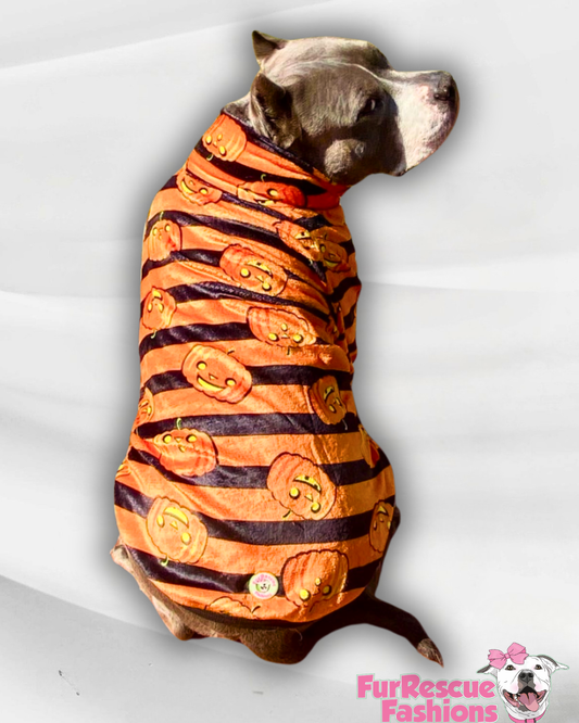 Classic Jack-O'-Lantern Stripes - Dog Pajama with Black Neck & Trim/Sleeves