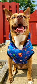 Pupvengers Blue - PAWjama with Black Neck & Trim/Sleeves