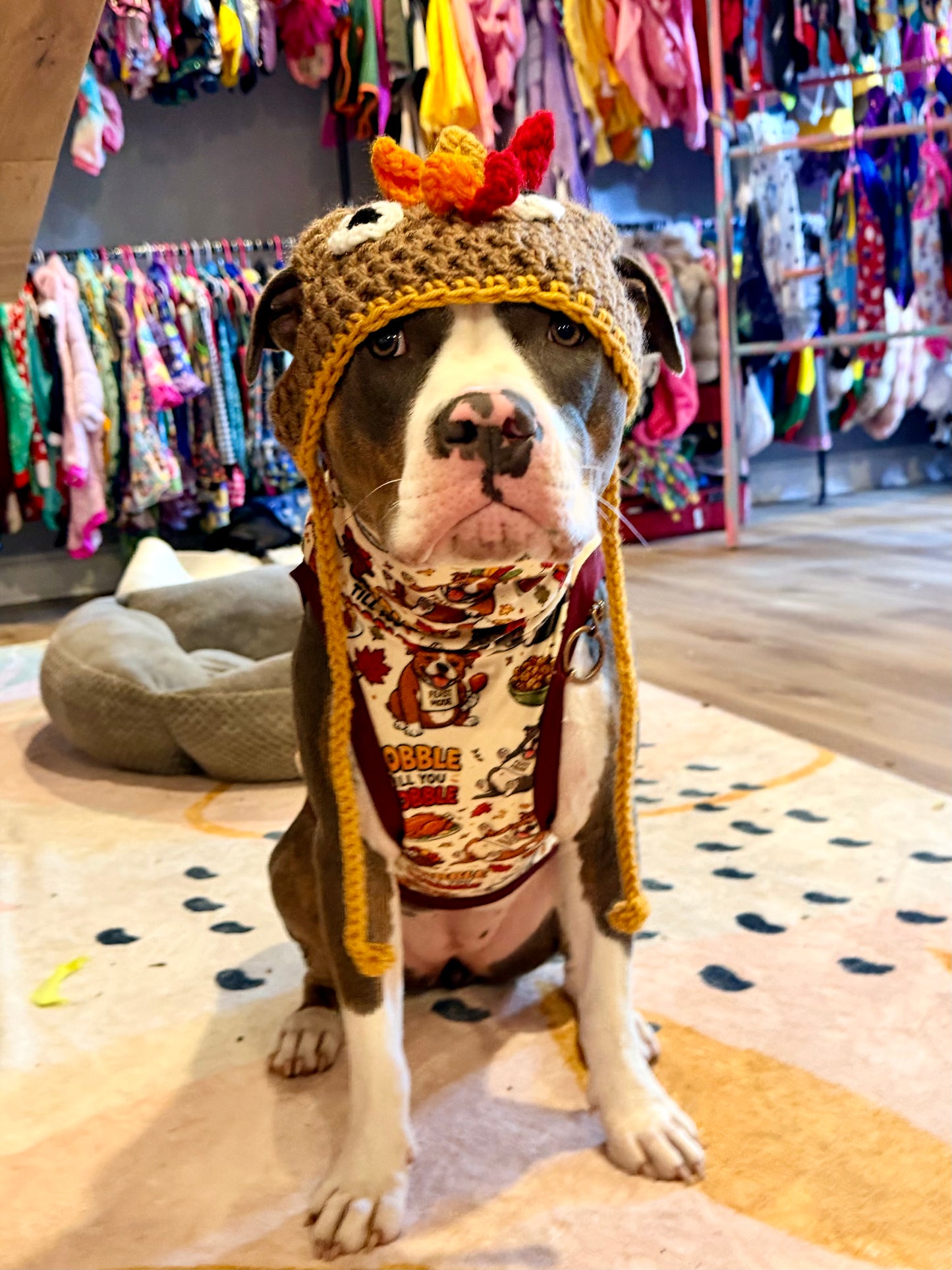 Gobble Till You Wobble - Dog Pajama with Burgundy Neck & Trim/Sleeves