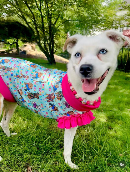 Magical Misfits Dog Pajama with Blue OR Pink Trim