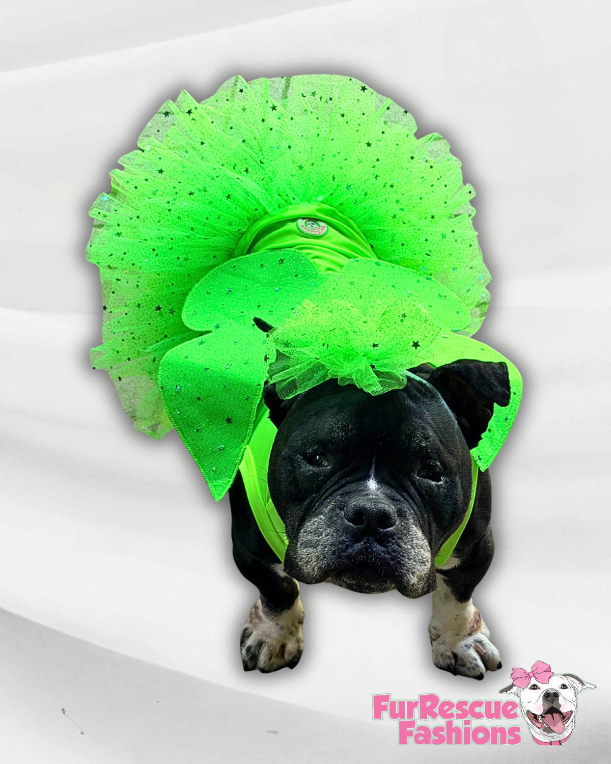 🧚 Enchanted Fairy 
Dog Dress With Headband (Available in 3 magical colors)