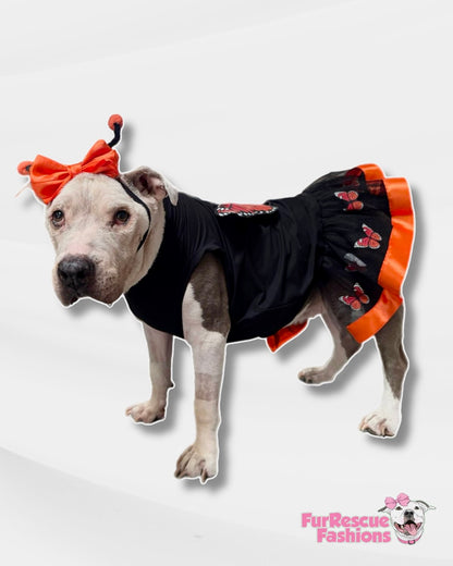 Monarch Magic Dog Dress