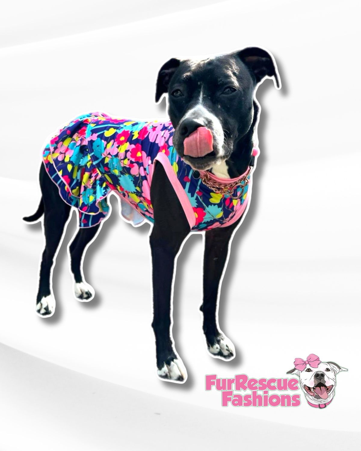 Floral poppies Dog Pajama with Fucshia Neck & Trim/Sleeves