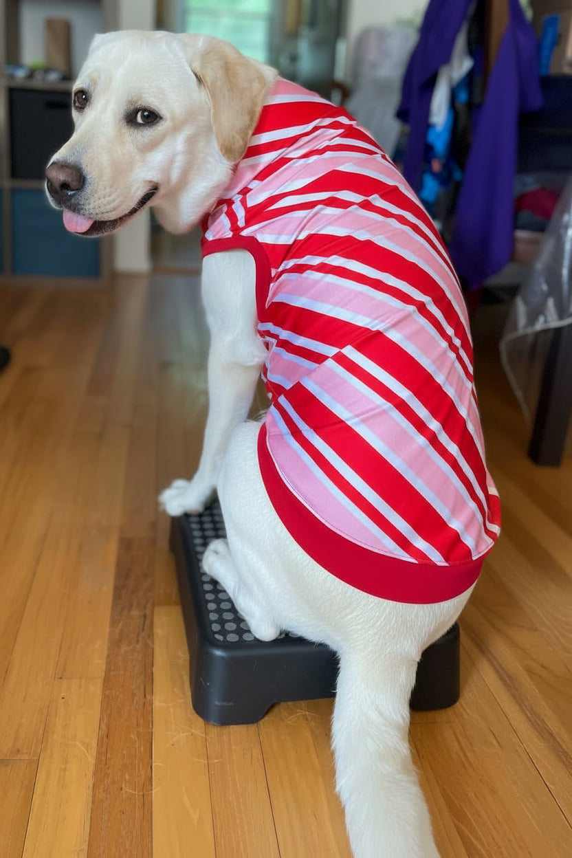 Sweet Candy Cane Stripes - Dog Pajama with Red Neck & Trim/Sleeves