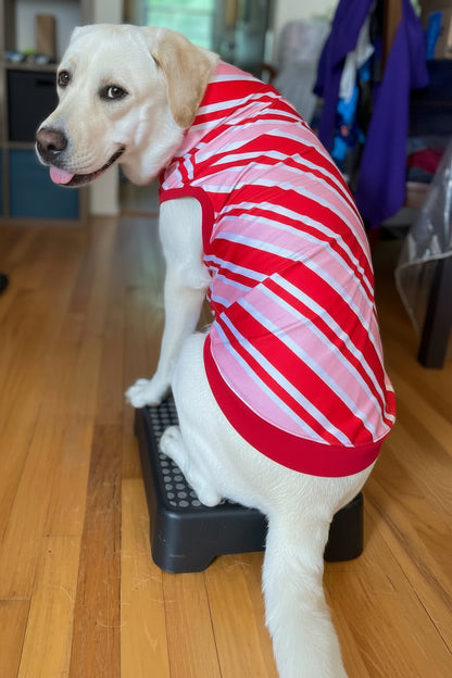 Sweet Candy Cane Stripes - Dog Pajama with Red Neck & Trim/Sleeves