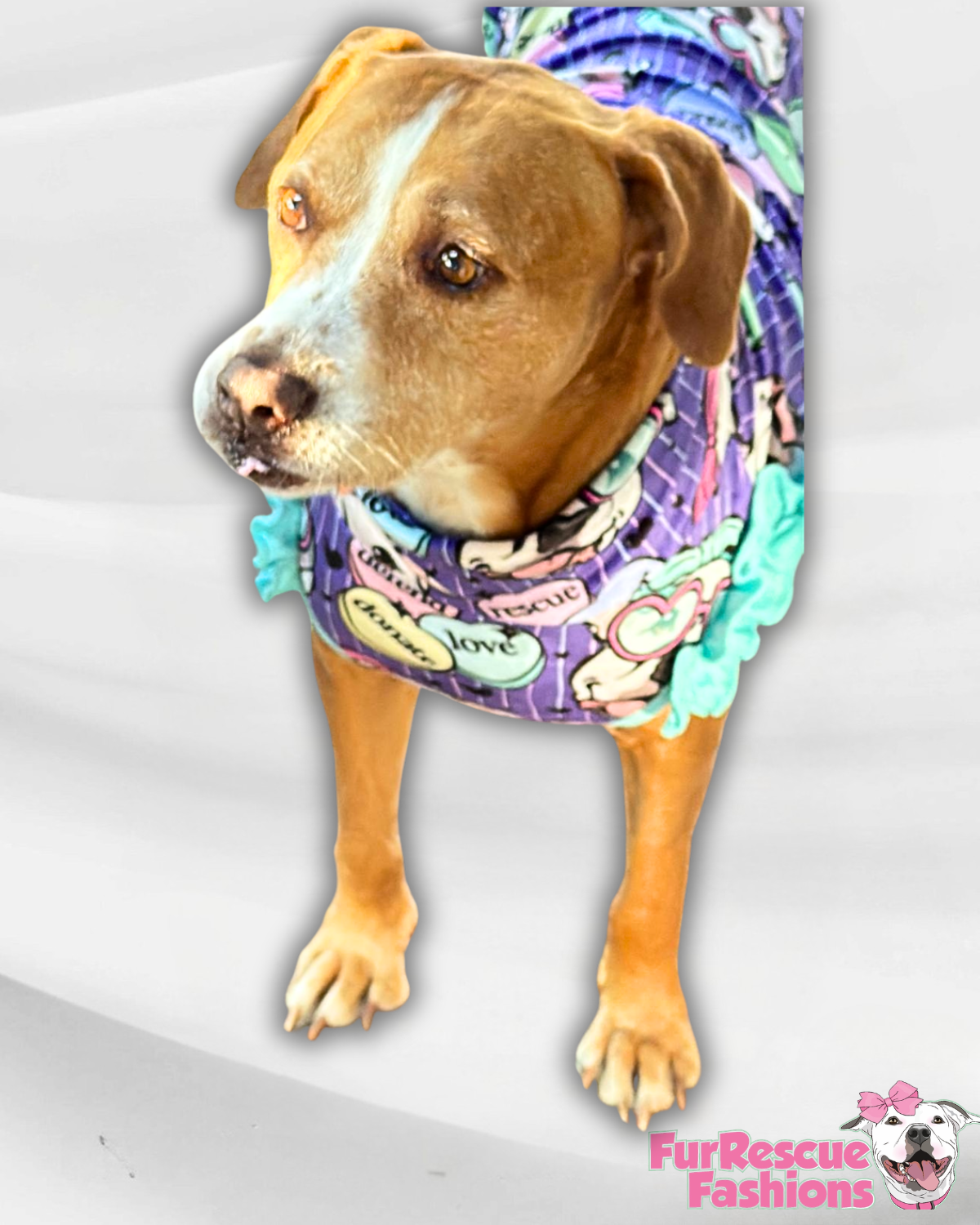 7th Anniversary Dog Shirt With Ruffles (AVAILABLE IN ANY PRE-ORDER PATTERN)