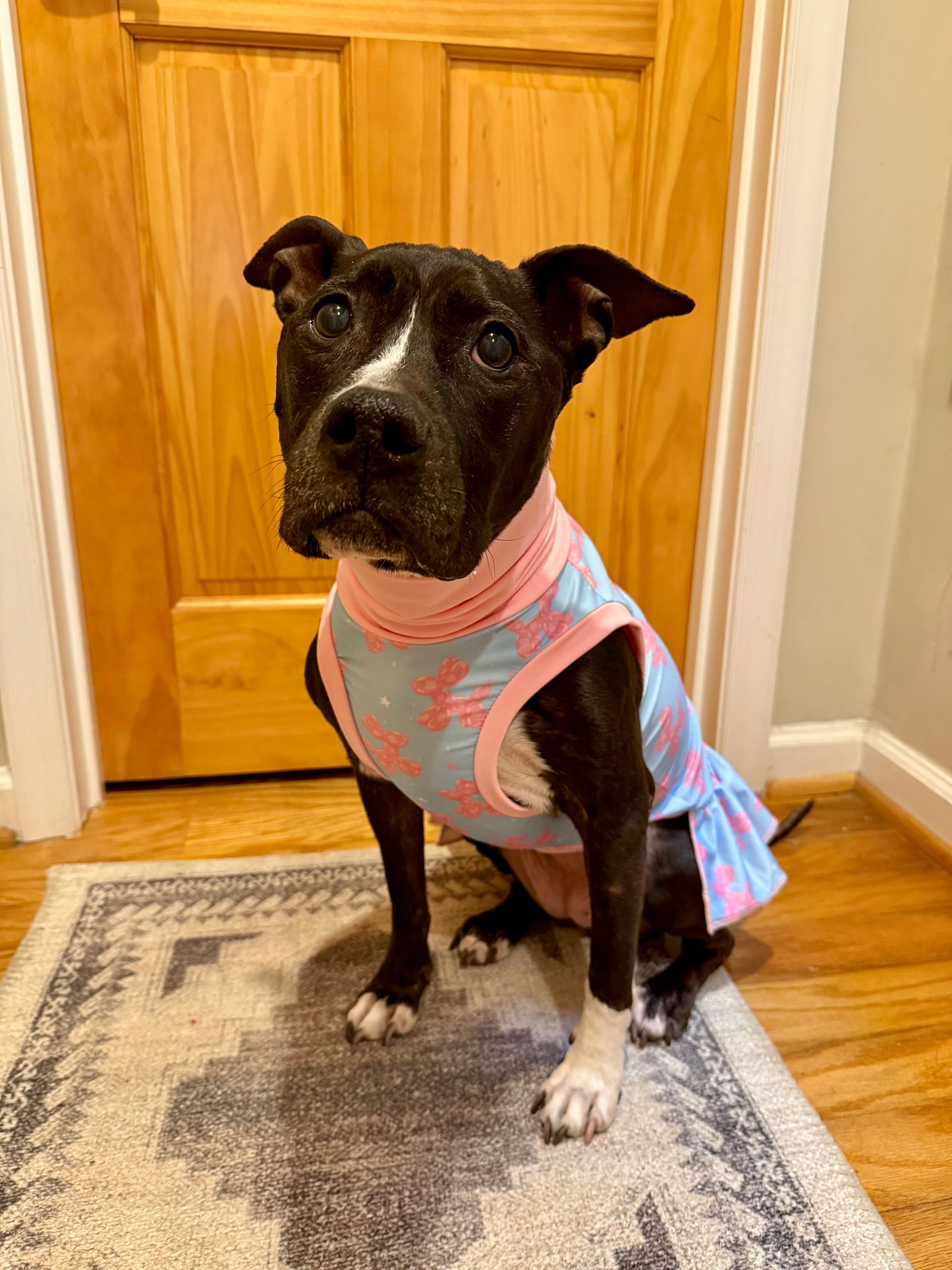 Balloon Pups Dog Pajama with Pink Neck & Trim/Sleeves