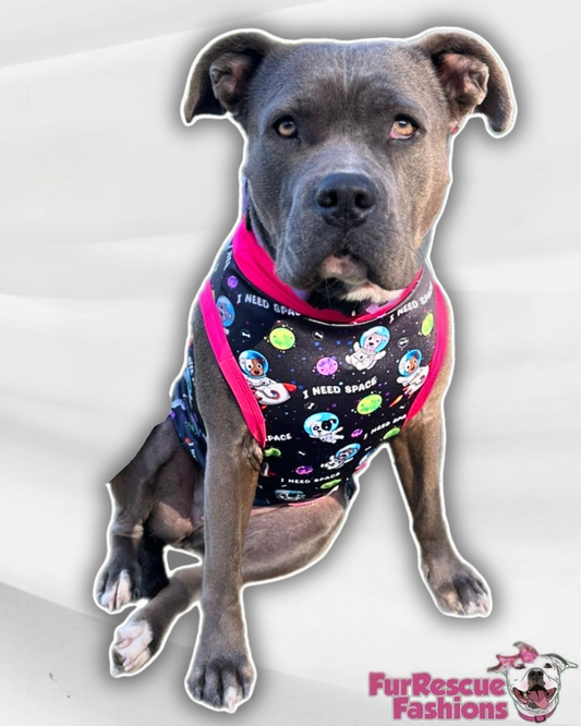 I Need Space PAWjama (Black OR Blue)