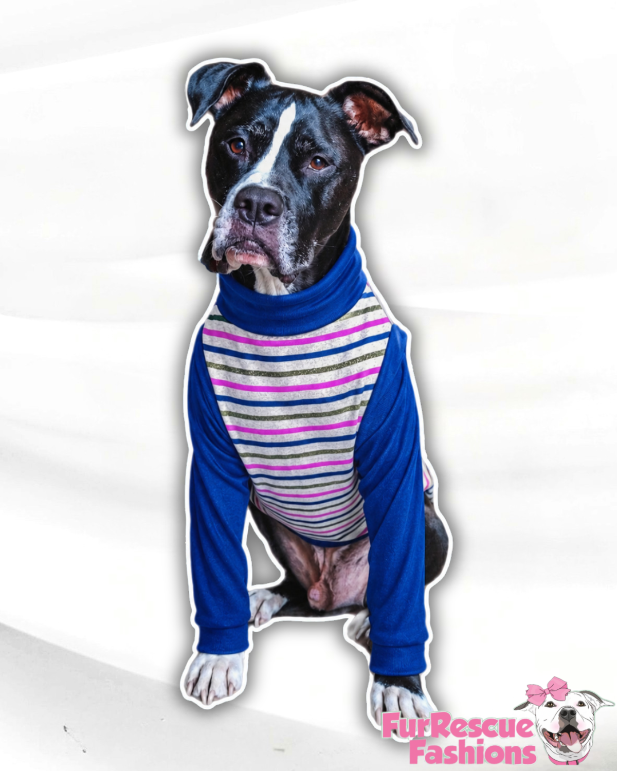 Preppy Stripes Dog & Shirt – Blue or Fuchsia