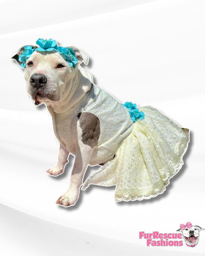 Cute Angelical Dog Dress