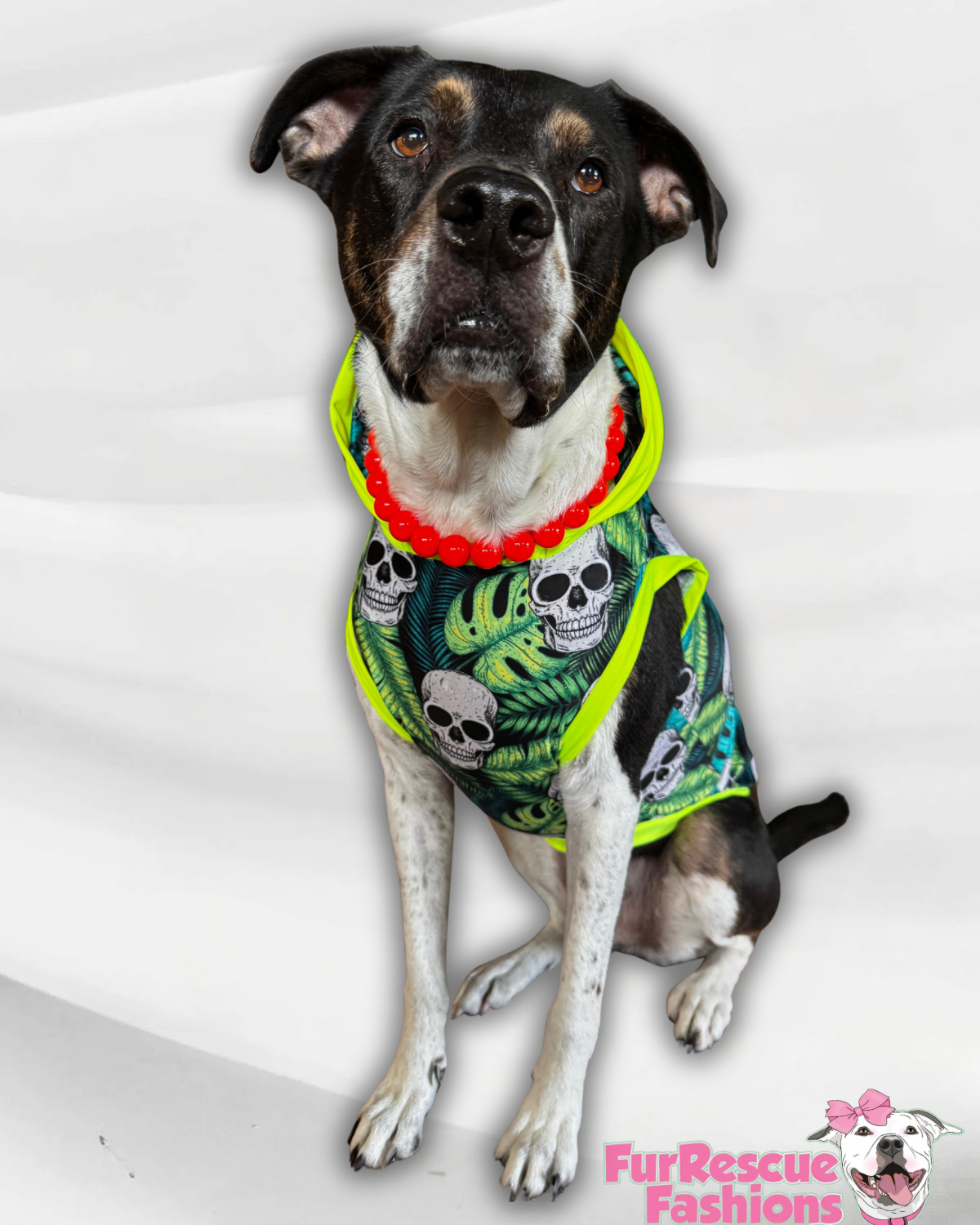 Tropical Skulls Halloween - Dog Pajama with Neon Neck & Trim/Sleeves