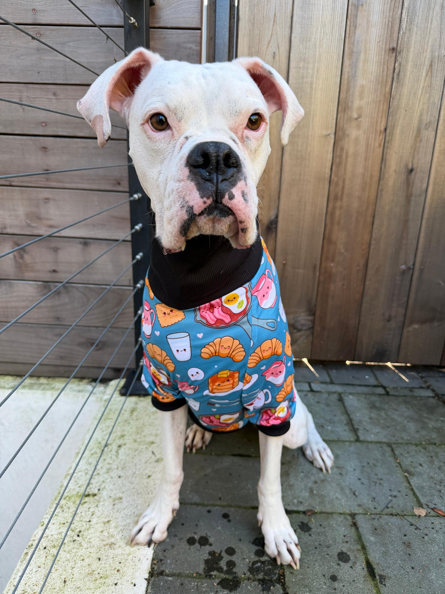 Brunch Love Fest Dog Pajama with Black Neck & Trim/Sleeves