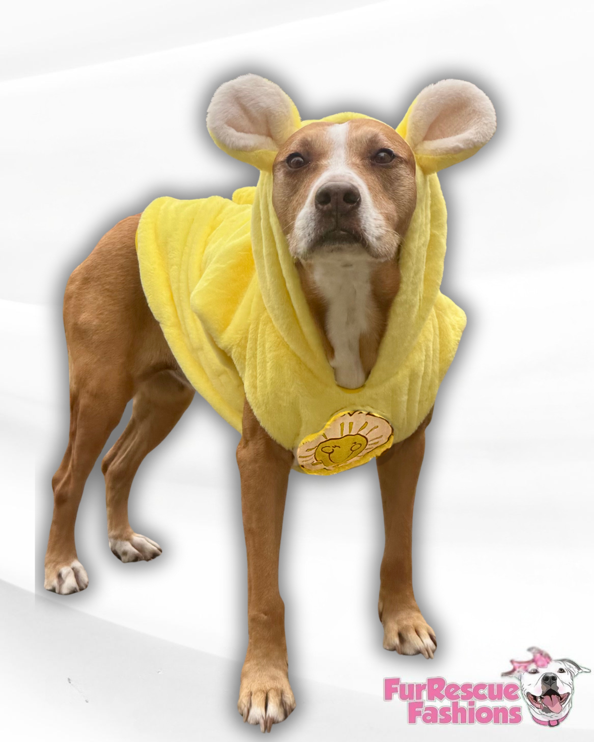 Funshine Bear Light-Up Dog Hoodie – Yellow Fleece Care Bear Outfit with Ears, Tail & Sun Patch