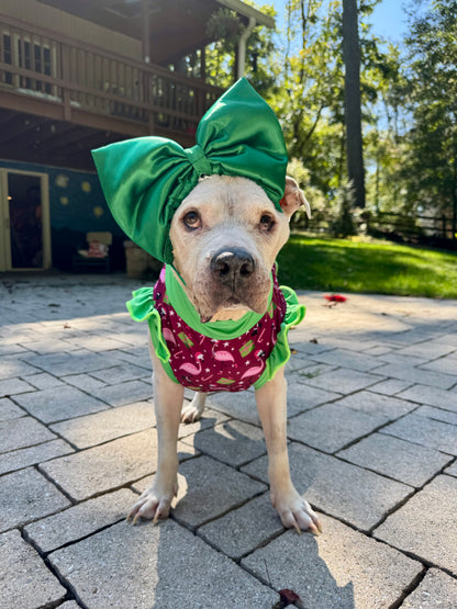 Fa-La-La-Mingo Dog Pajama with Green Neck & Trim/Sleeves