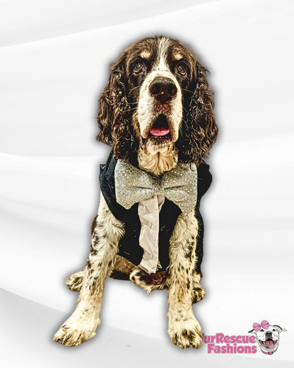 Sparkling Velvet Tux Dog Vest with Bow tie