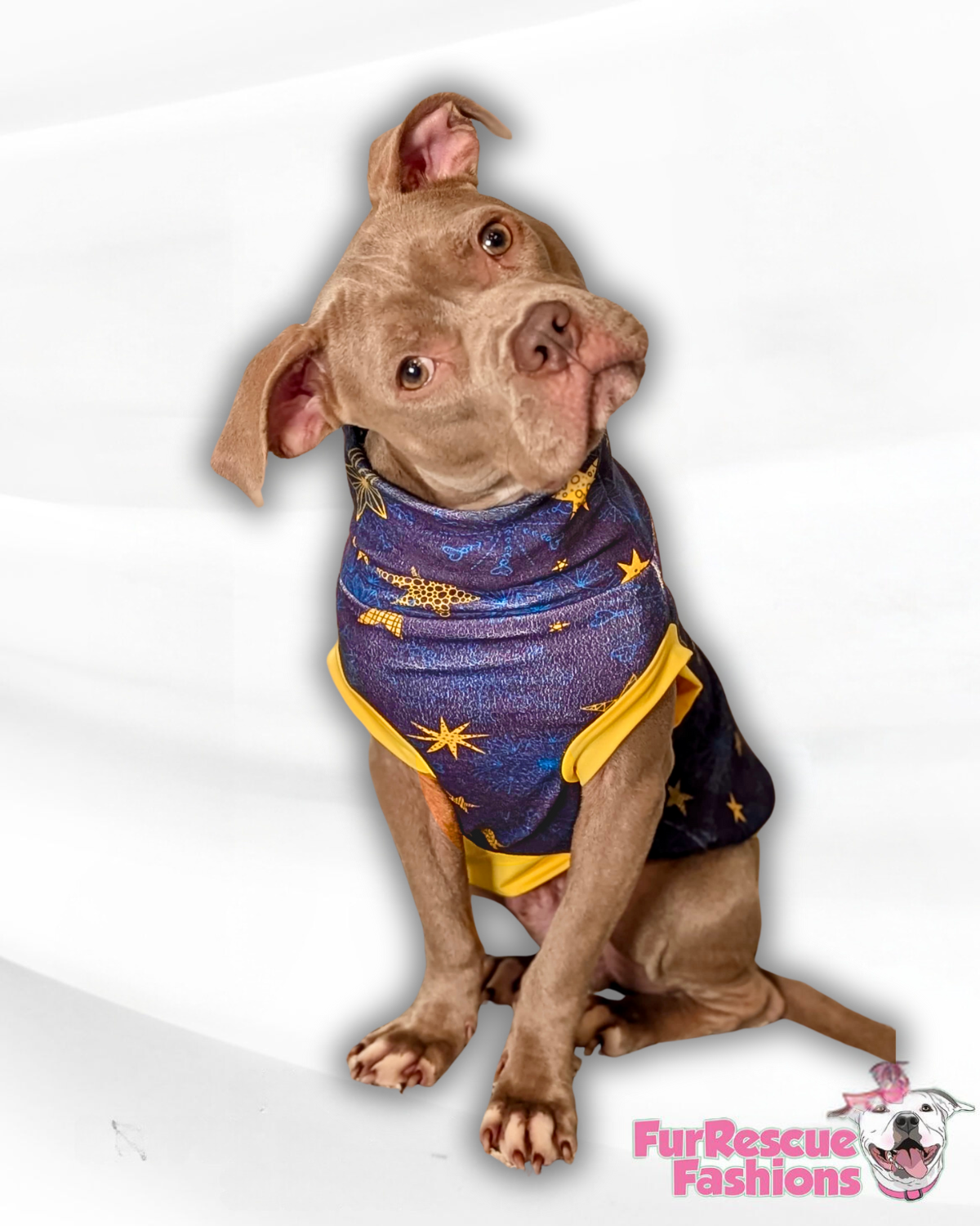 The Stars That Listen Dog Pajama with Gold Neck & Trim/Sleeves