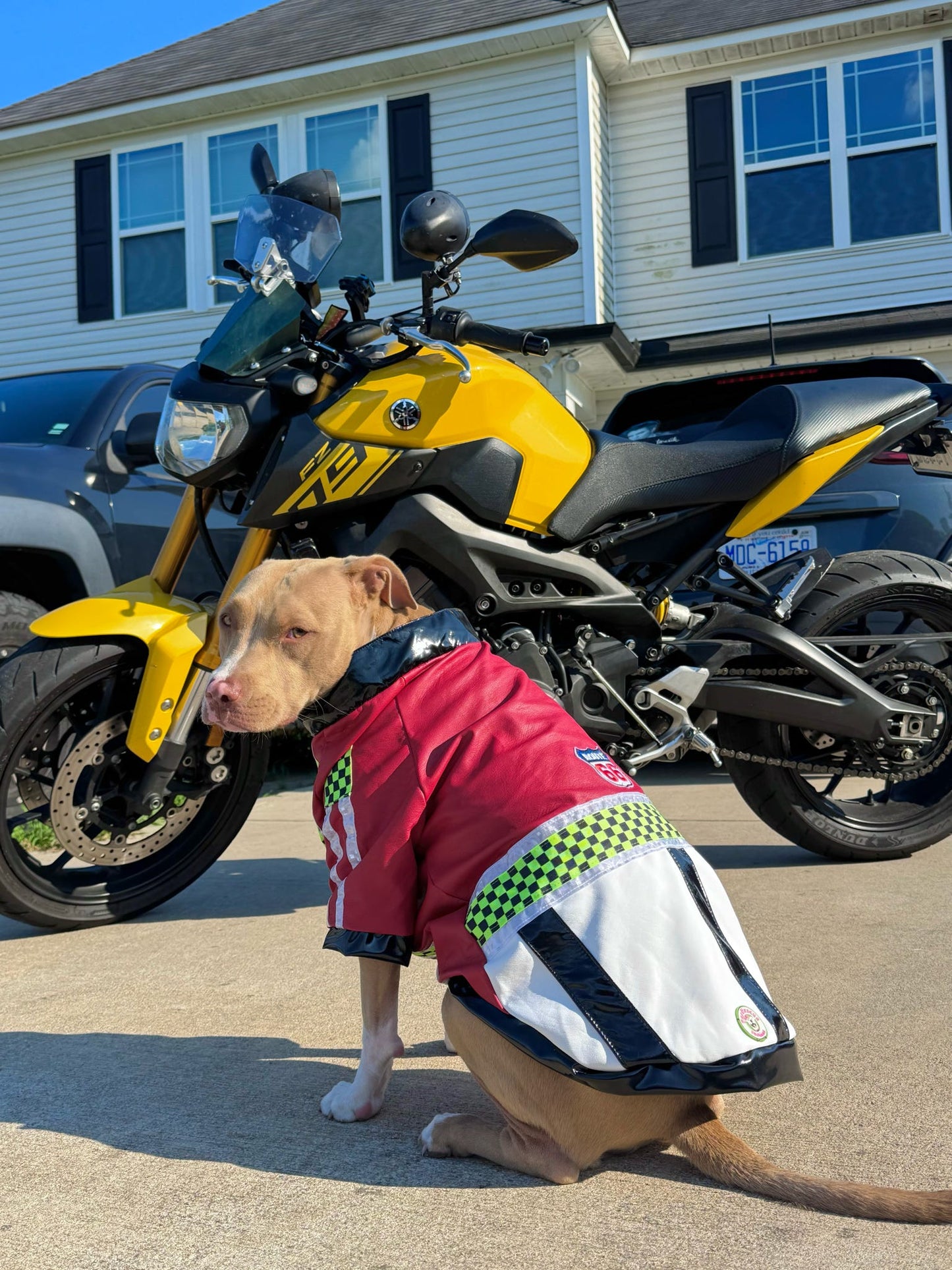 Faux Leather Racer Dog Jacket 🏁