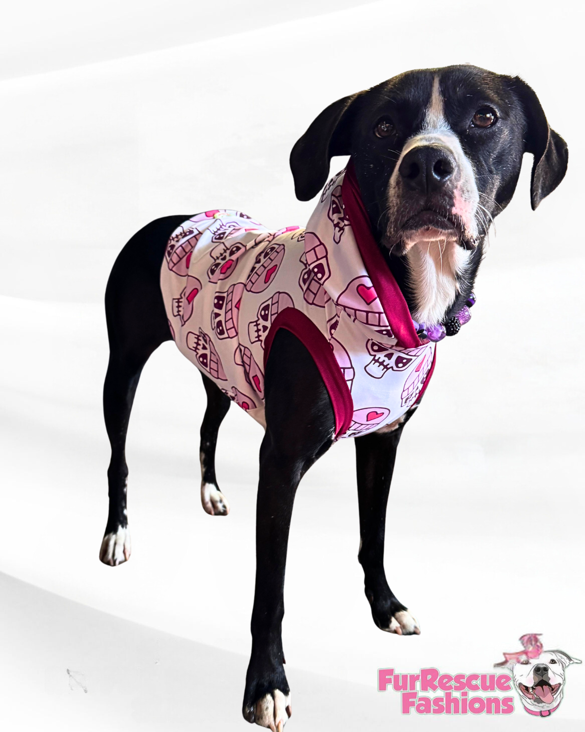 Killer Winter Dog Pajama with Burgundy Neck & Trim/Sleeves