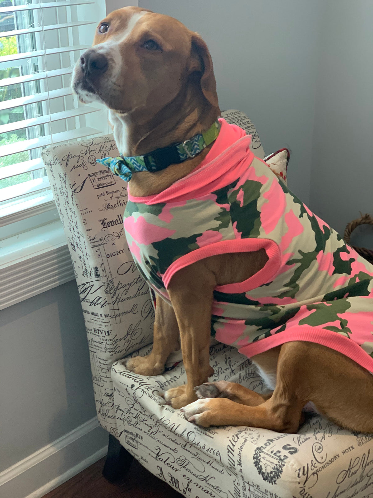 Cotton Candy Camo Dog Shirt/Dress/4-Legged PAWjama (Classic Fabric) (Copy)