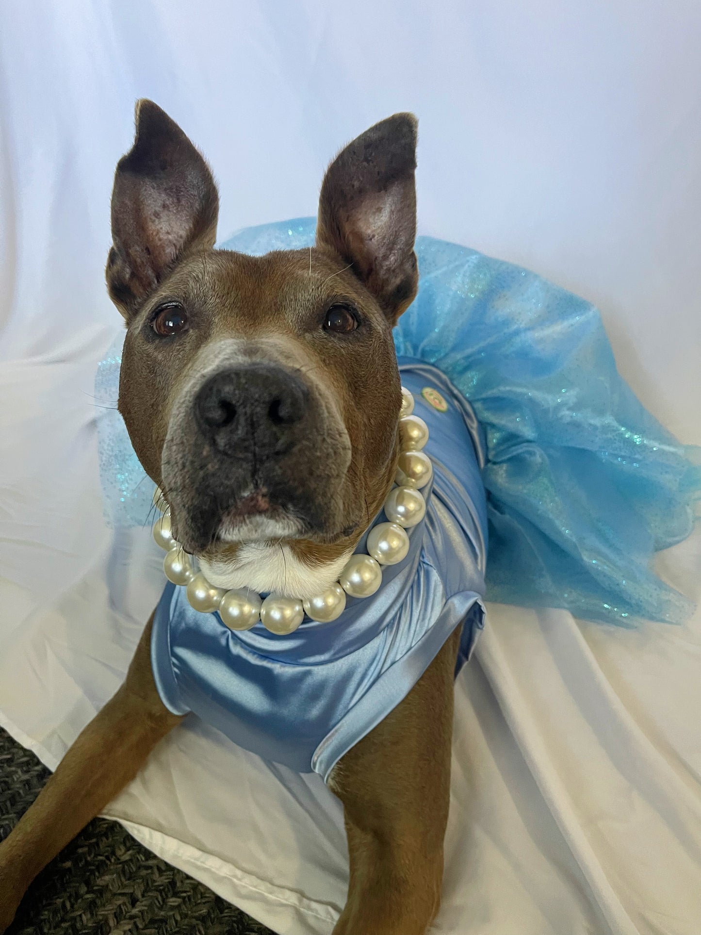 Dusty Blue Tutu Dress