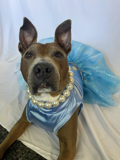 Dusty Blue Tutu Dress